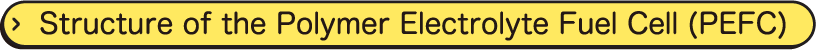 Structure of the Polymer Electrolyte Fuel Cell (PEFC)