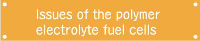 Issues of the polymer electrolyte fuel cells